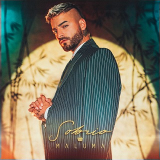کاور آهنگ Sobrio (Official Video) از Maluma