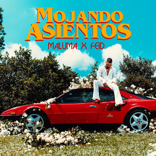 کاور آهنگ Mojando Asientos (Official Video) ft. Feid از Maluma