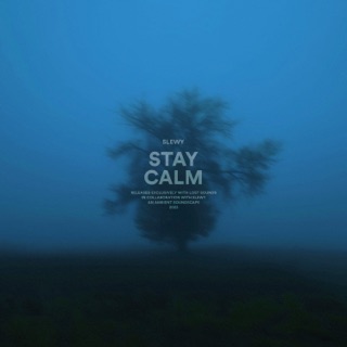 کاور آهنگ Stay Calm از slewy