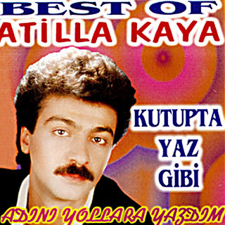 کاور آهنگ Kutupta Yaz Gibi از Atilla Kaya