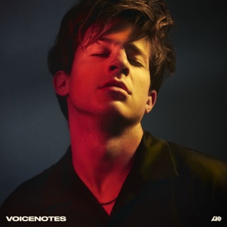 کاور آهنگ The Way I Am [Official Video] از Charlie Puth