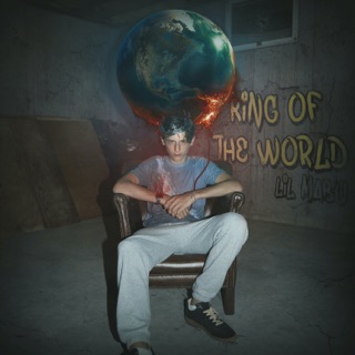 کاور آهنگ KING OF THE WORLD از Lil Mabu