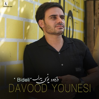 کاور آهنگ Bideli از davoodyoonesi