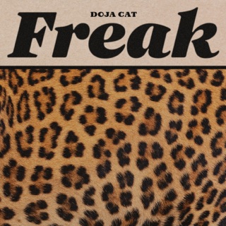 کاور آهنگ ₊˚✧  𝙵𝚁𝙴𝙰𝙺 ˚₊✩‧₊  DOJA CAT از Doja Cat