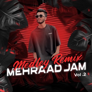 کاور آهنگ Mehraad Jam (Remix) از Mehraad Jam