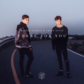 کاور آهنگ There For You (Official Video) از Martin Garrix & Troye Sivan