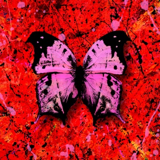کاور آهنگ Bad Habits [Official Video] از Ed Sheeran