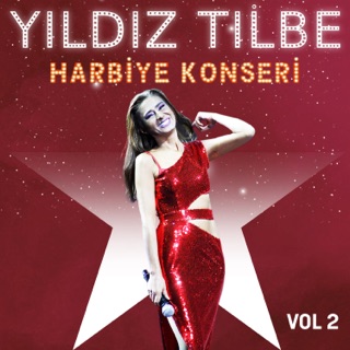 کاور آهنگ Ama Evlisin از Yıldız Tilbe