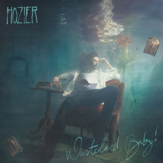 کاور آهنگ Talk (slowed) از Hozier