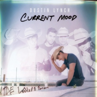 کاور آهنگ State lines (Prod. speakeasy) از Dustin Lynch