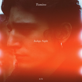 کاور آهنگ Indigo Night از Tamino