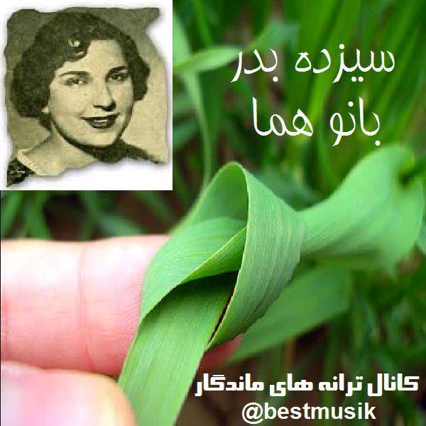 کاور آهنگ Sizdeh Bedar از Homa