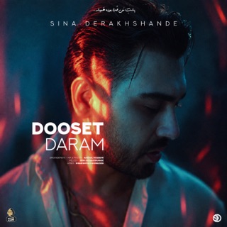کاور آهنگ Dooset Daram از Sina Derakhshande