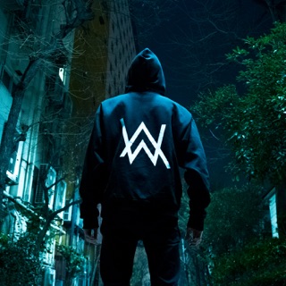 کاور آهنگ Ignite (feat. Julie Bergan & Seungri) از Alan Walker