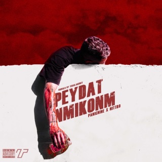 کاور آهنگ Peydat Nmikonm از Panicnine & Soby