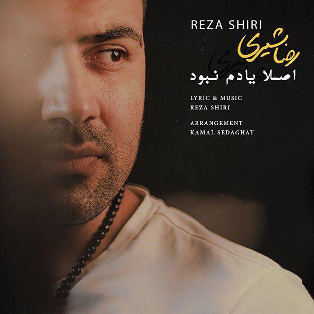 کاور آهنگ دلم تنگه با علی جوکار از Reza Shiri