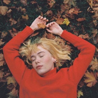 کاور آهنگ We Fell in Love in October از girl in red