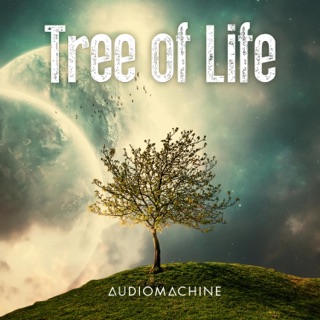 کاور آهنگ Audiomachine از Audiomachine