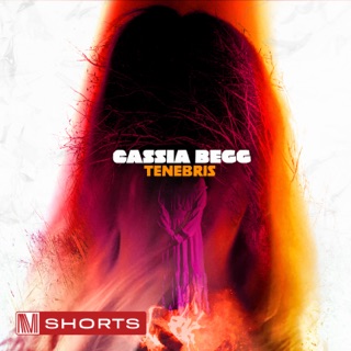 کاور آهنگ Gentle از Damon Baxter, Cassia Begg & Simon Begg