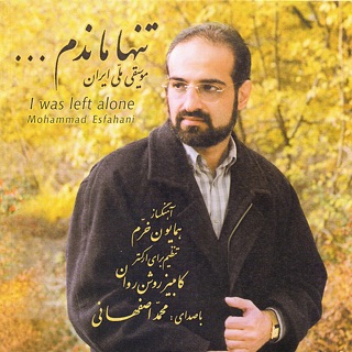 کاور آهنگ Naji از Mohammad Esfahani