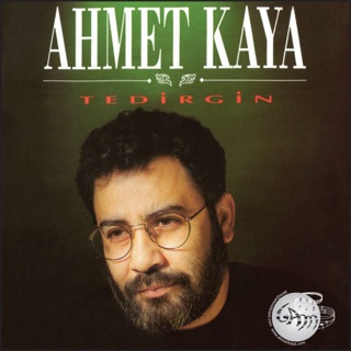 کاور آهنگ Sevemezsin از Ahmet Kaya