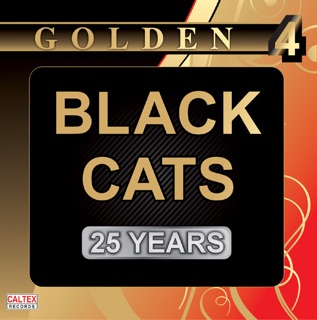 کاور آهنگ Yeki Bood Yeki Nabood از Black Cats