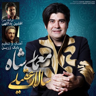 کاور آهنگ Zolf Bar Baad Madeh از Salar Aghili