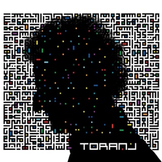 کاور آهنگ Toranj از Mohsen Namjoo