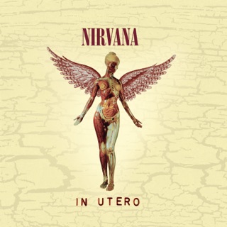 کاور آهنگ Dumb از Nirvana