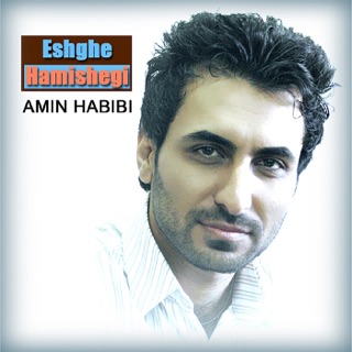 کاور آهنگ Setareh از Amin Habibi
