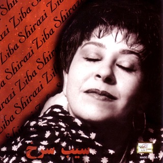کاور آهنگ Track3 از Ziba Shirazi
