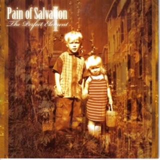 کاور آهنگ Idioglossia از Pain of Salvation