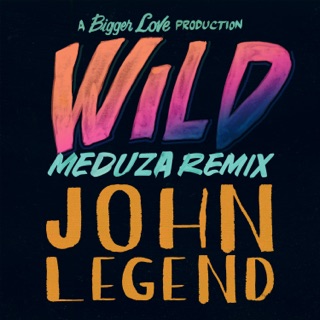 کاور آهنگ Wild (MEDUZA Remix) از John Legend