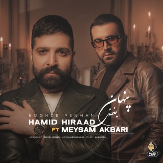 کاور آهنگ Boghze Penhan (Remix) از Hamid Hiraad