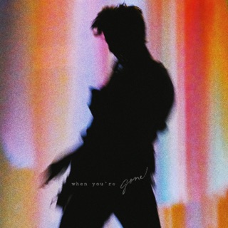 کاور آهنگ When You're Gone از Shawn Mendes