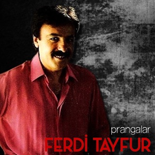 کاور آهنگ Bir Bilsen از Ferdi Tayfur