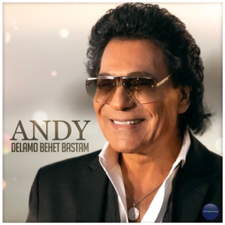 کاور آهنگ Delamo Behet Bastam از Andy