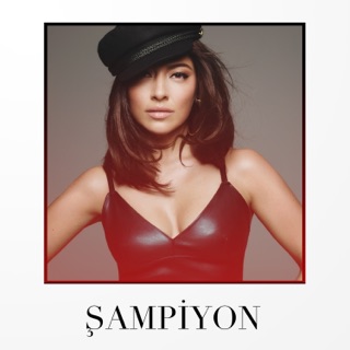 کاور آهنگ Aşk Dediğin از Hadise