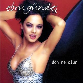 کاور آهنگ Dön Ne Olur از Ebru Gündeş