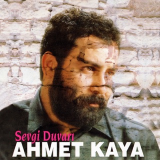 کاور آهنگ Doruklara Sevdalandım از Ahmet Kaya
