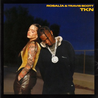 کاور آهنگ TKN از ROSALÍA & Travis Scott