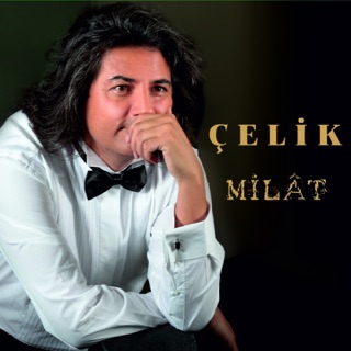 کاور آهنگ Hercai (Version 2) از Çelik