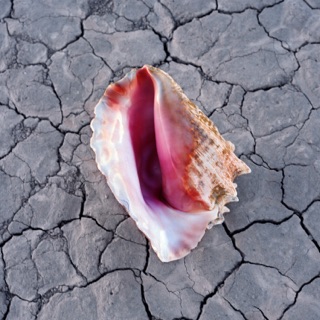 کاور آهنگ Run for Cover از The Killers