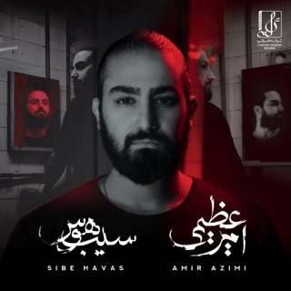 کاور آهنگ Zemestoon از Amir Azimi