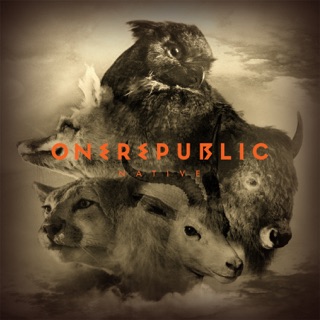کاور آهنگ Burning Bridges از OneRepublic