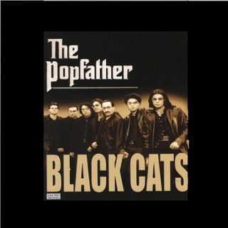 کاور آهنگ Begoo از Black Cats