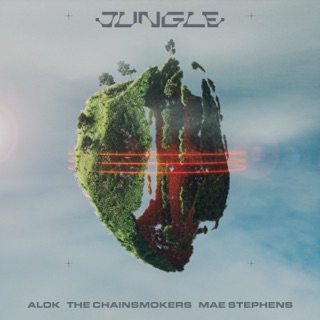 کاور آهنگ Jungle از Alok, The Chainsmokers & Mae Stephens