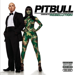 کاور آهنگ I Know You Want Me (Calle Ocho) از Pitbull