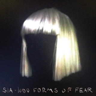 کاور آهنگ Elastic Heart از Sia