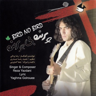 کاور آهنگ Namayesh از Reza Yazdani